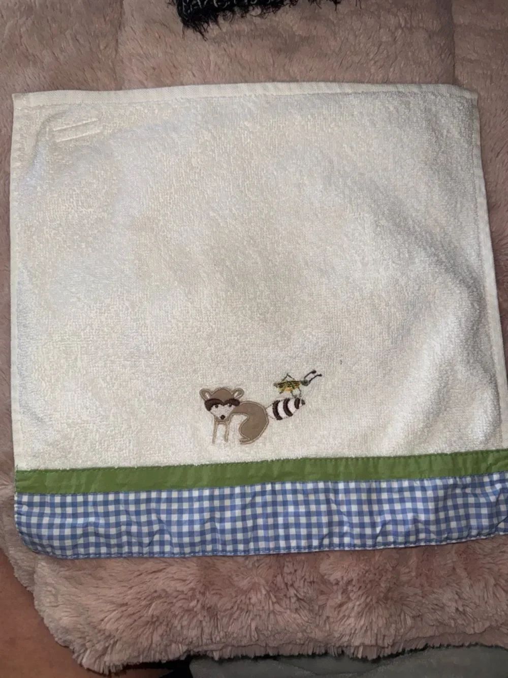 Pottery Barn Kids Raccoon and Grasshopper Washcloth!